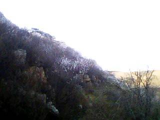 IMG0305A.jpg
