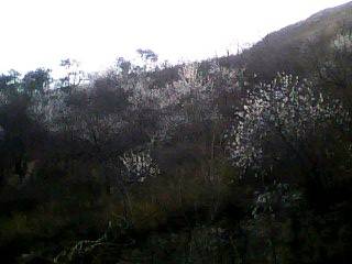 IMG0292A.jpg