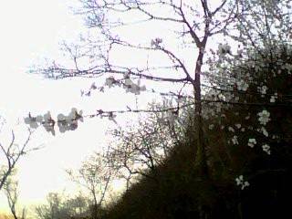 IMG0298A.jpg