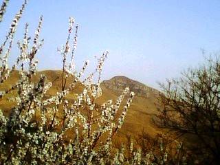 IMG0275A.jpg