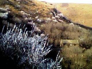 IMG0260A.jpg
