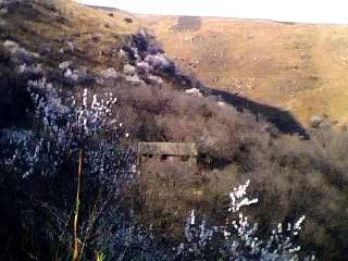 IMG0258A.jpg