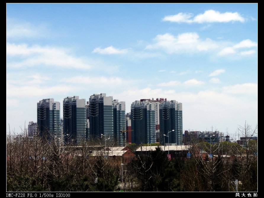 P1140478.jpg