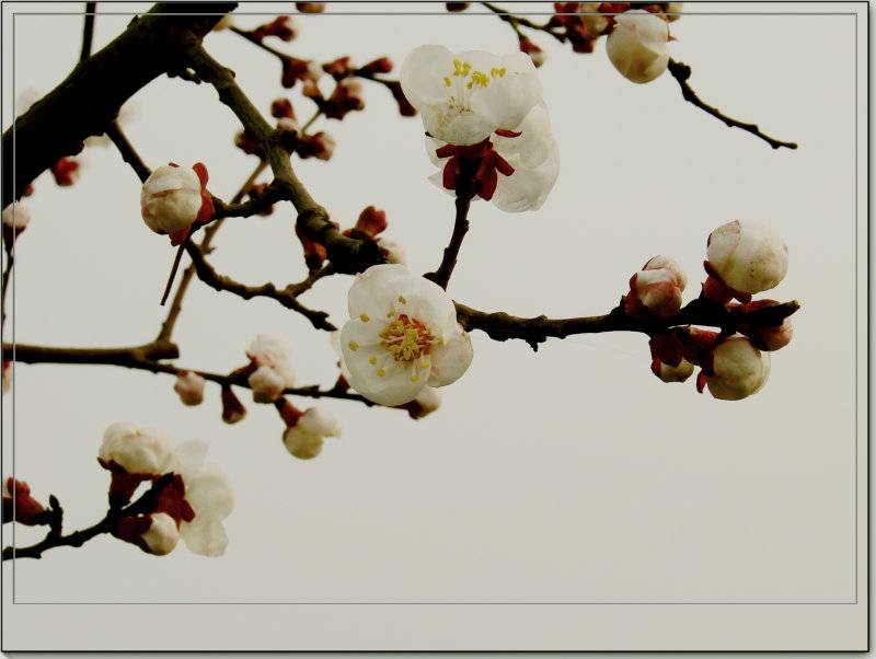 DSC09176_.JPG
