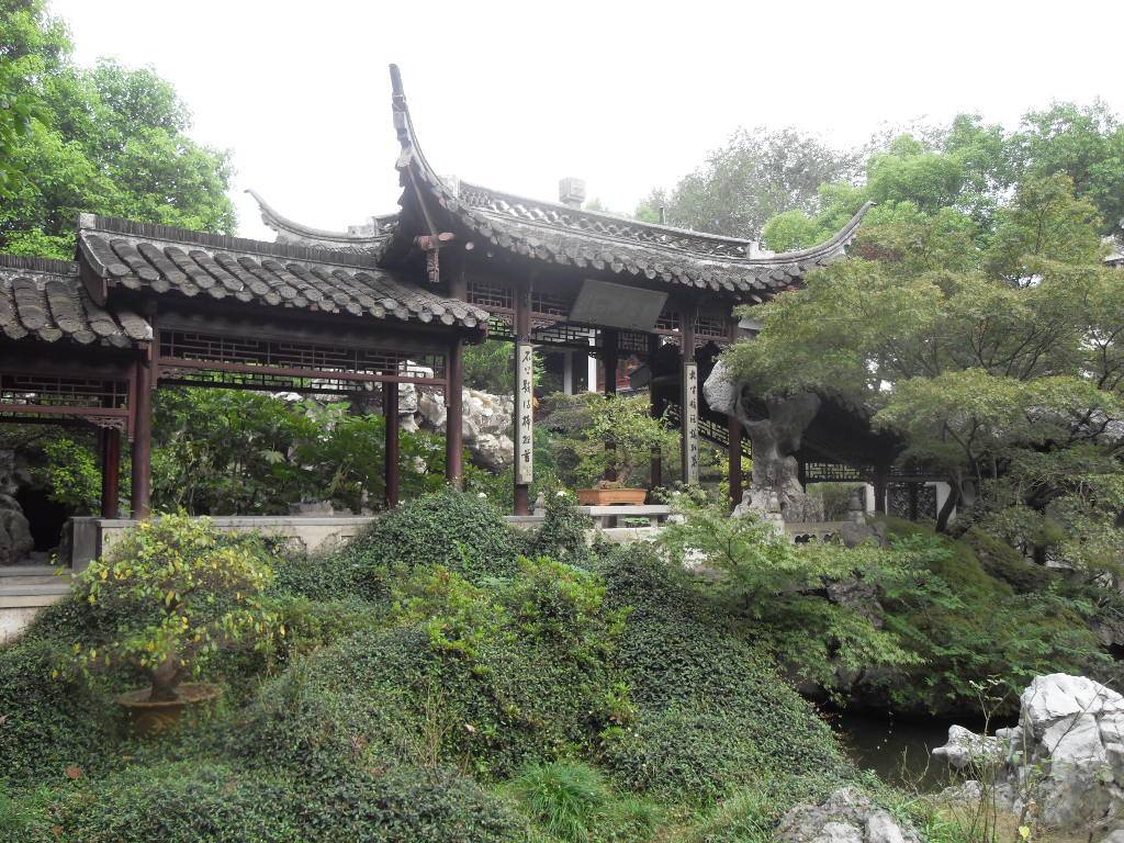 SDC13524.JPG