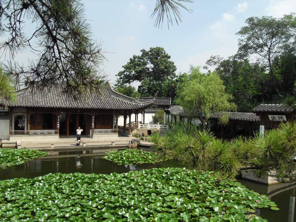SDC13654.JPG
