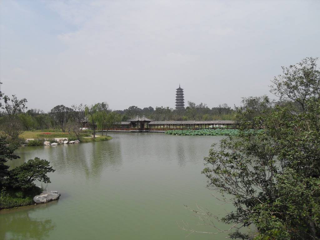 SDC13672.JPG