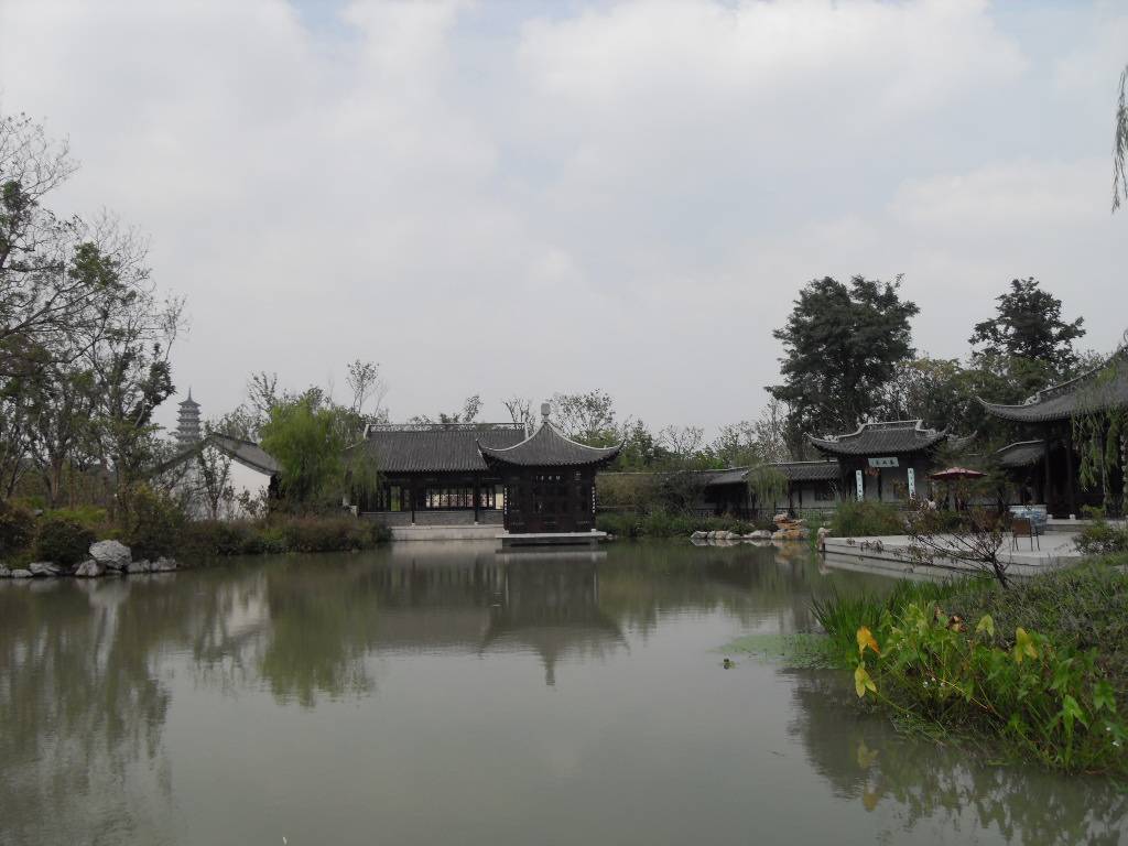 SDC13681.JPG