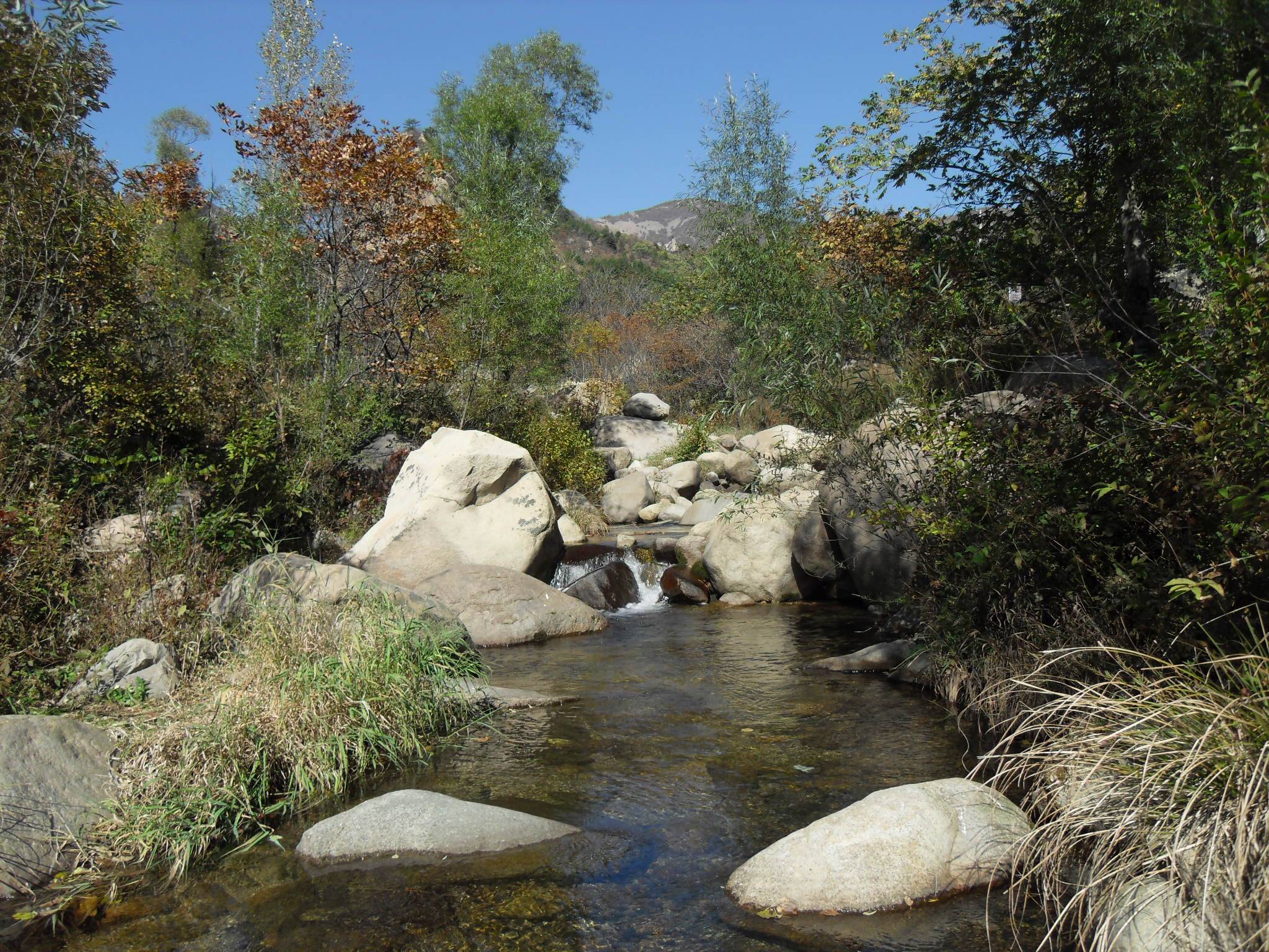 SDC14049.JPG