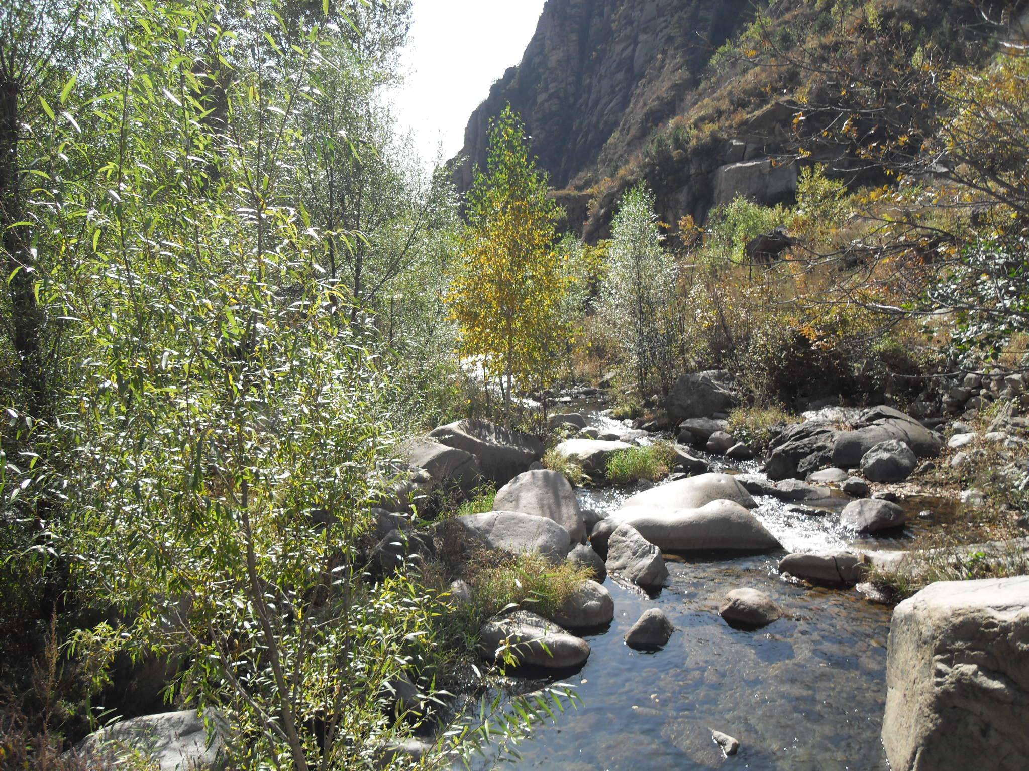 SDC14050.JPG