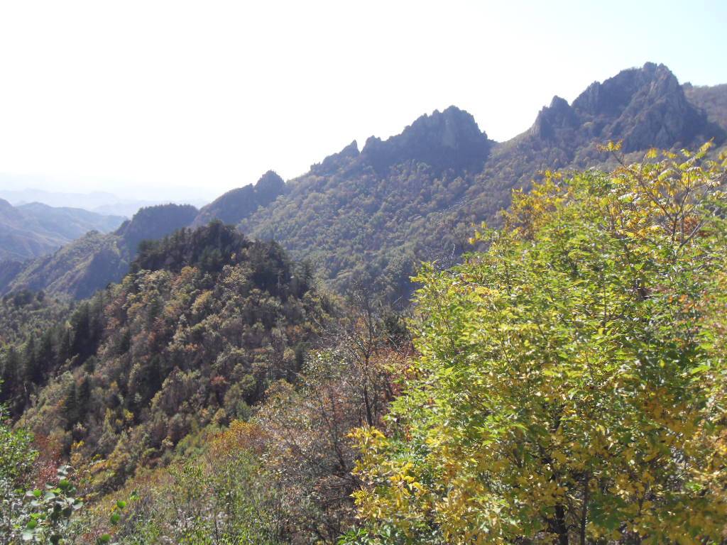 SDC14080.JPG