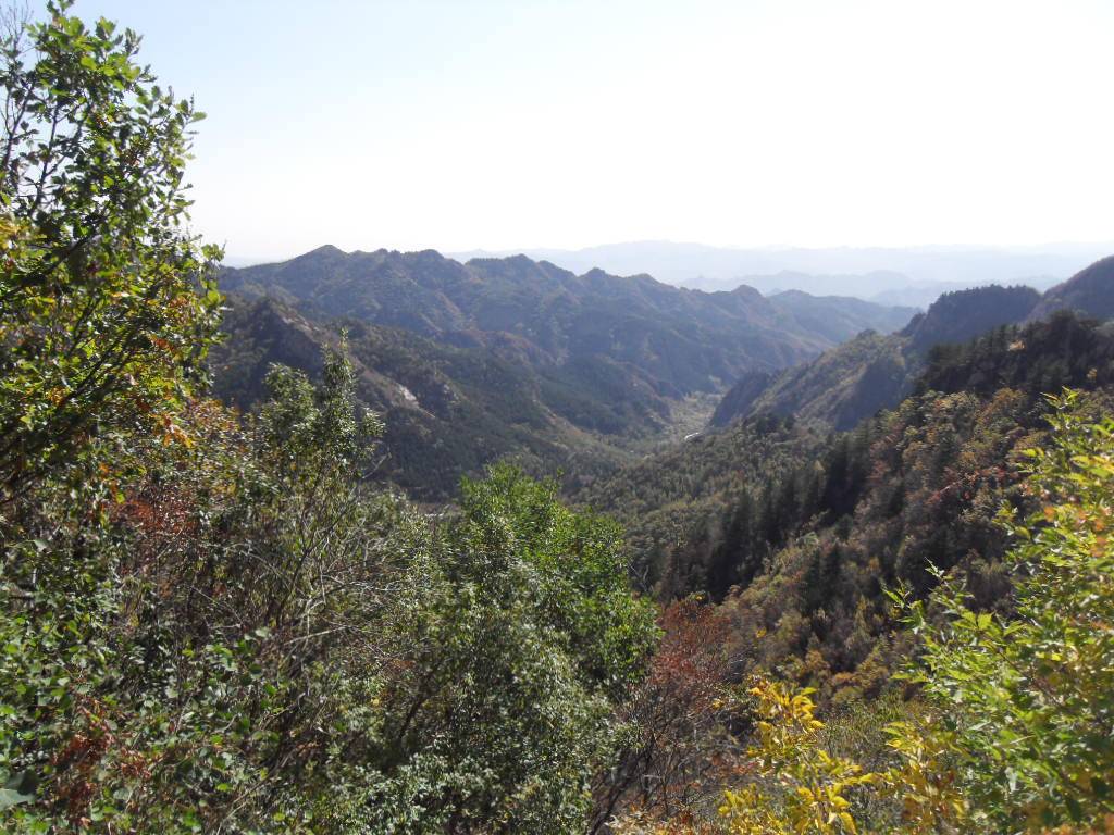 SDC14081.JPG