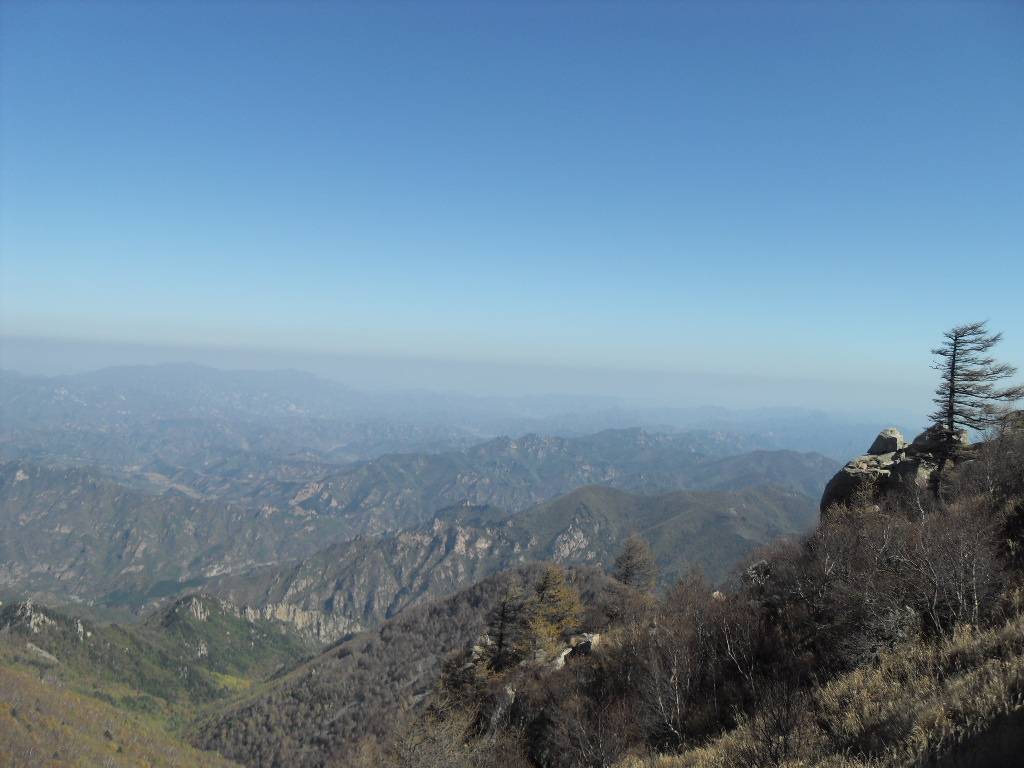 SDC14110.JPG