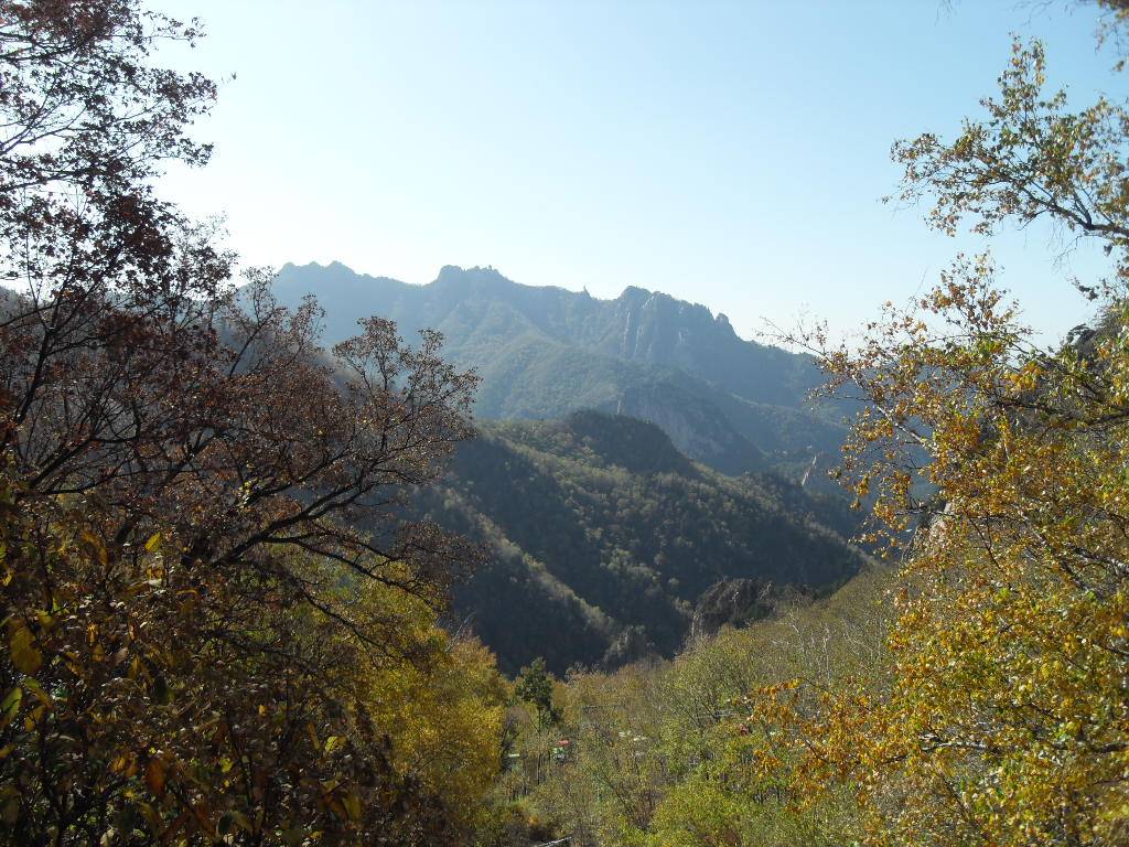 SDC14183.JPG