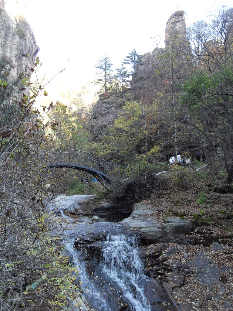 SDC14220.JPG