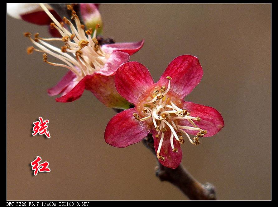 P1150170.jpg