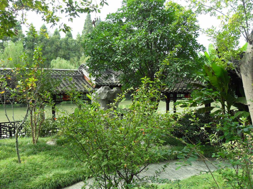 SDC13616.JPG