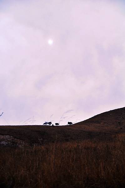 DSC_0683Ľɽ.jpg