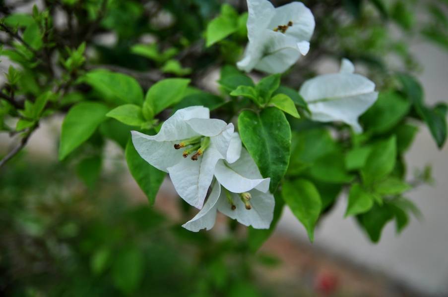 DSC_0382÷.jpg