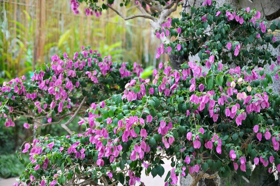 DSC_0514÷.jpg