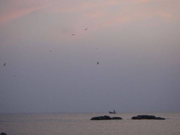 DSC00239.JPG