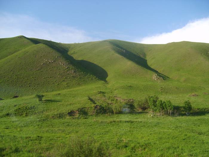 149.JPG