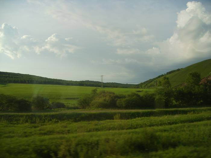 153.JPG