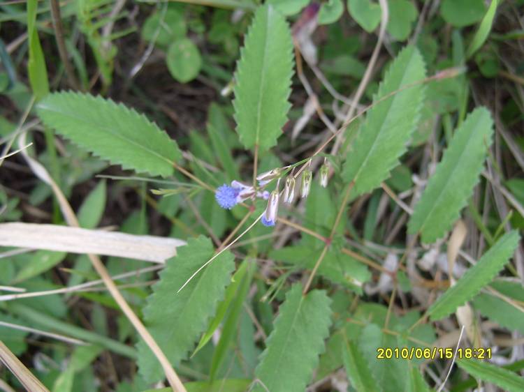 nEO_IMG_S1050568.jpg