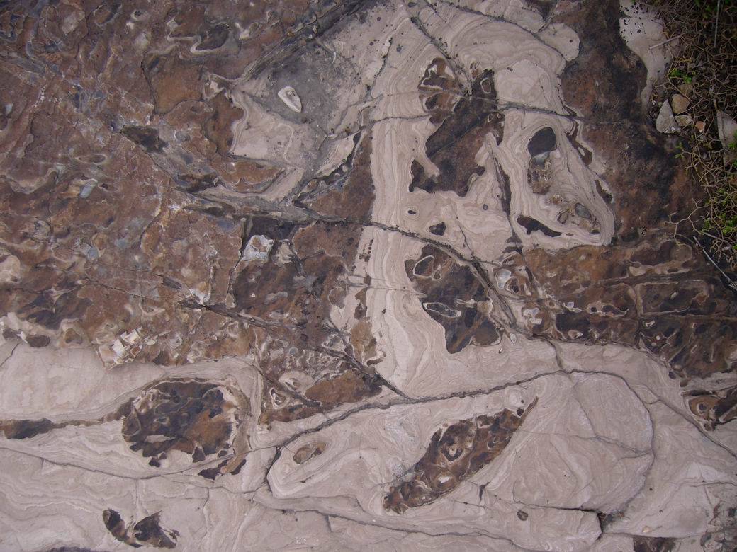 С P1110588.JPG