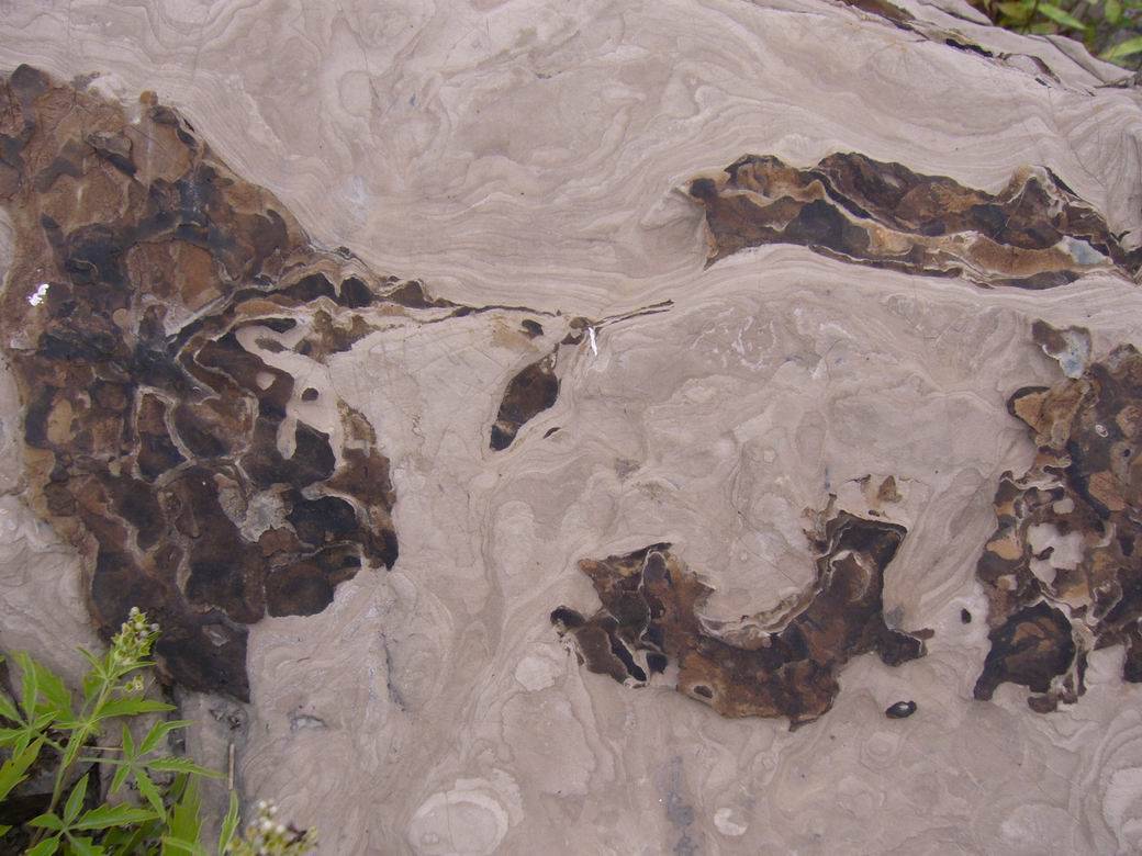 С P1110586.JPG