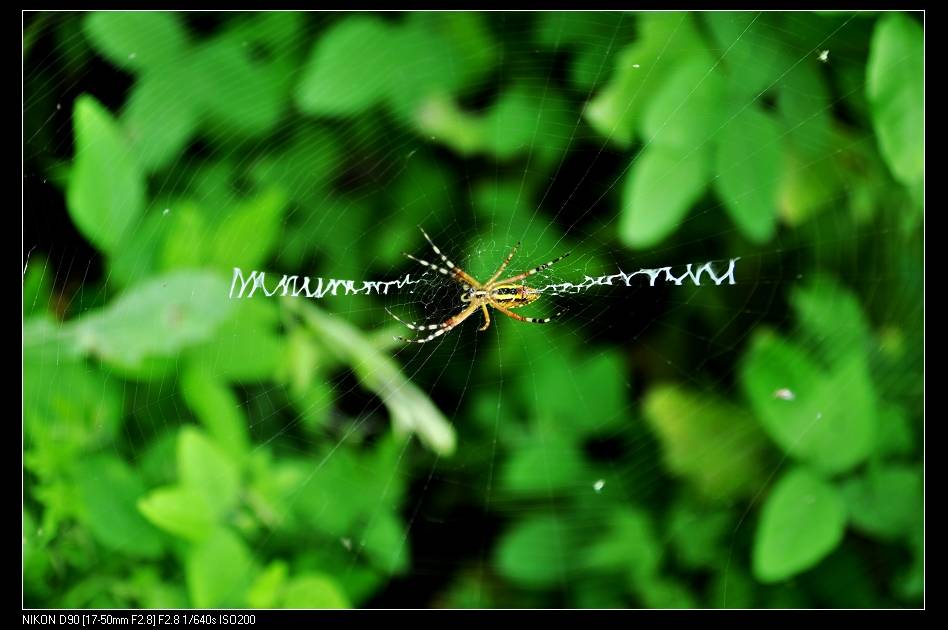 DSC_0251.jpg