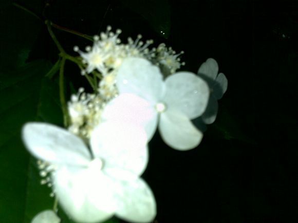 20100717160.jpg