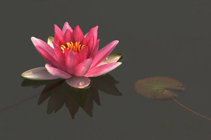 һһ硡һҶһ  Ӱ.jpg