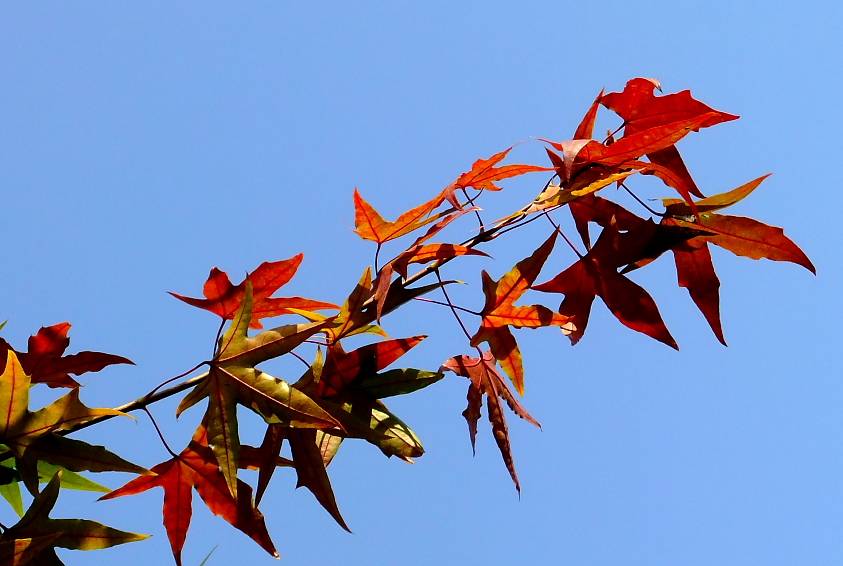 DSCF3495.JPG