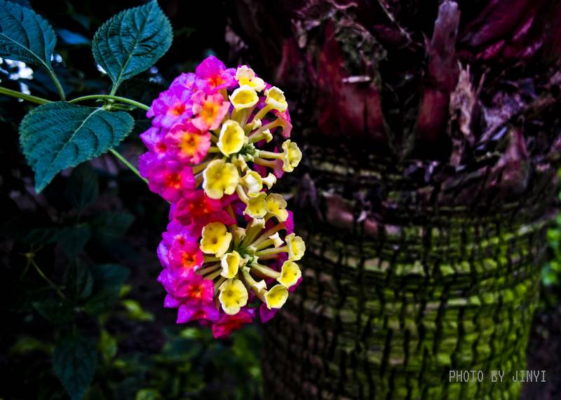 IMG_0046_1.jpg