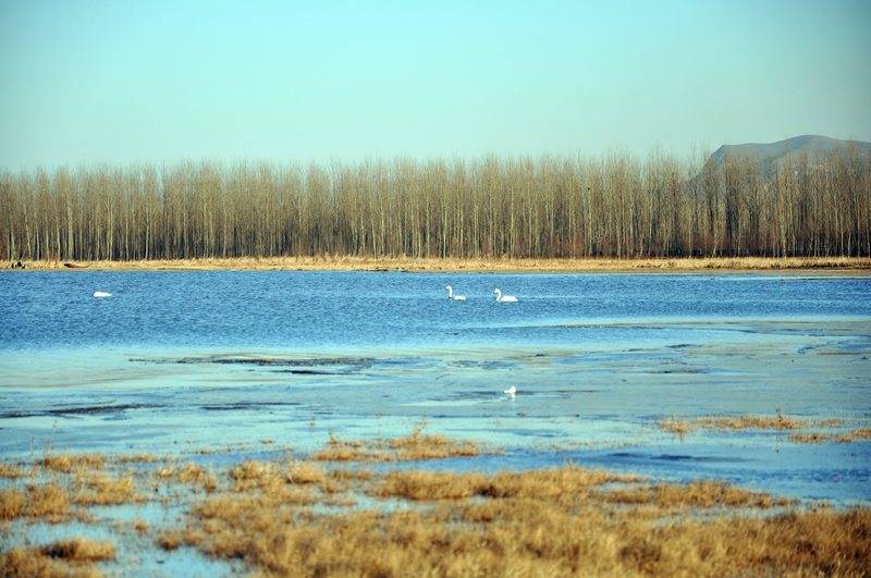 DSC_0078.JPG